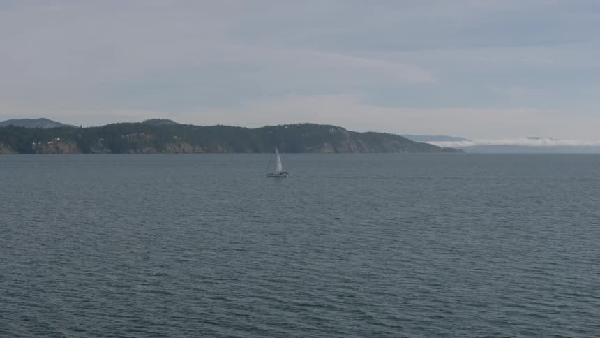 A sailboat traveling on water