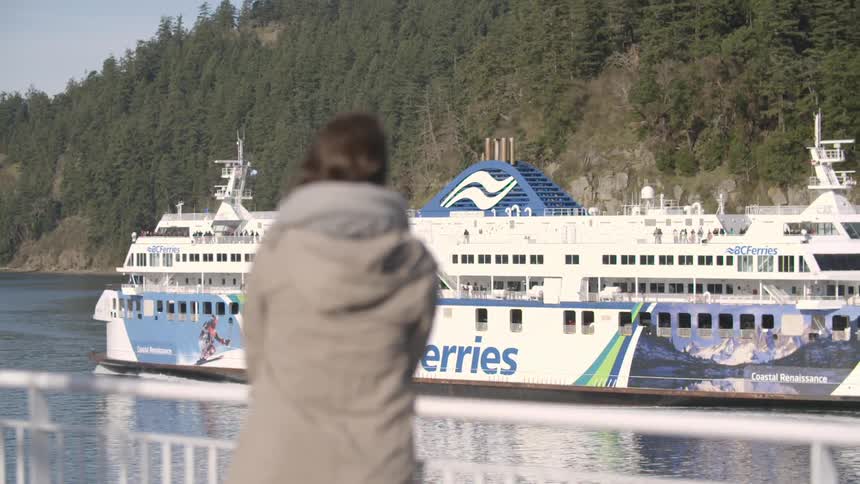 A person watches a large ship pass by