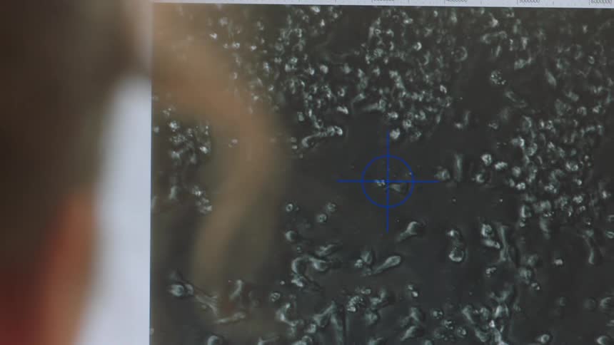 A person in front of a computer screen watching an image