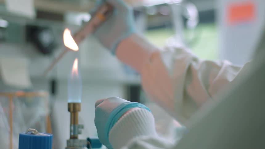 A person with disposable gloves working with liquids near a bunsen burner