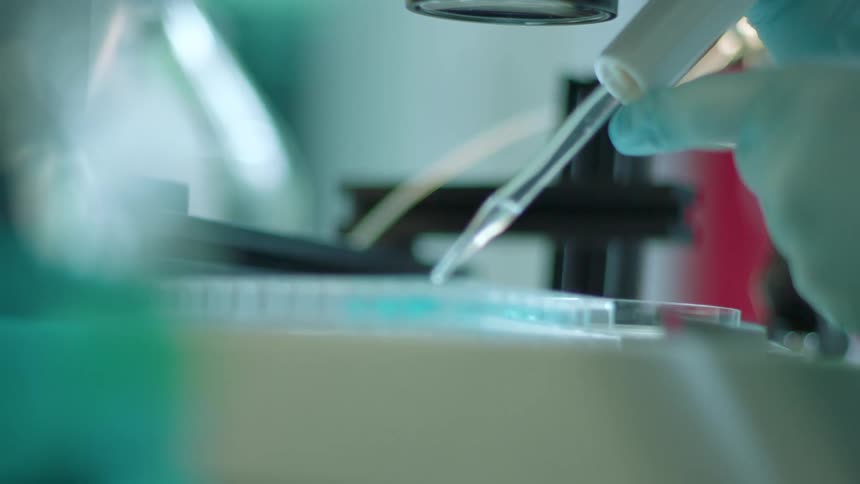 A woman in a lab uses an eyedropper to put liquid in a tray