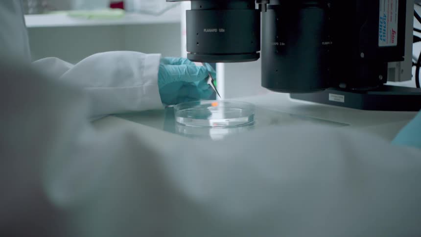 Person wearing white coat and gloves uses dropper with petri dish near machine