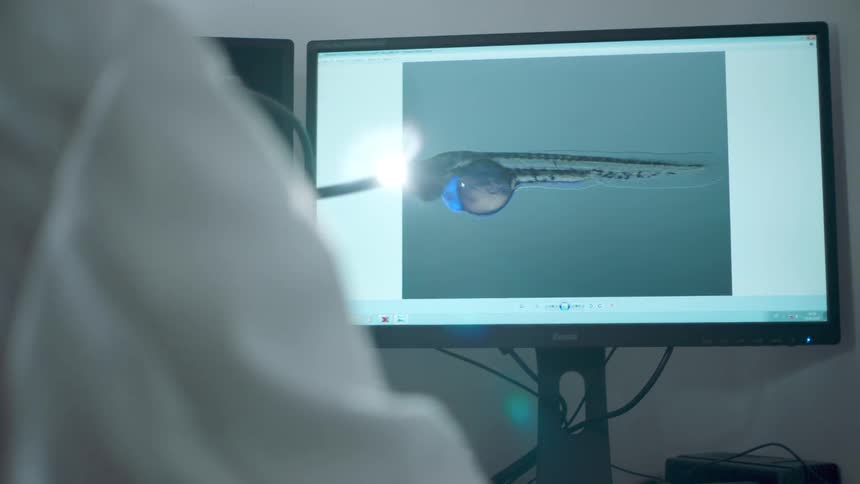 A person is looking at a computer screen and wearing a lab jacket