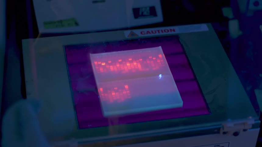 Doctor uses the lab machine in the laboratory