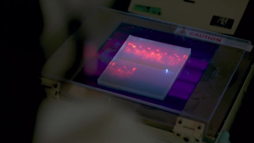 A woman uses a scanner like machine