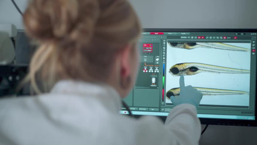 A person wearing a lab coat points their finger towards a screen
