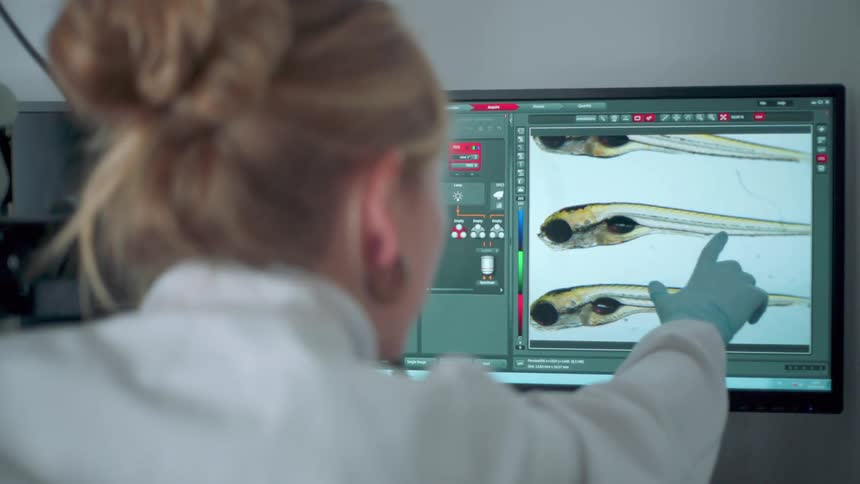 A woman doctor is pointing at a screen