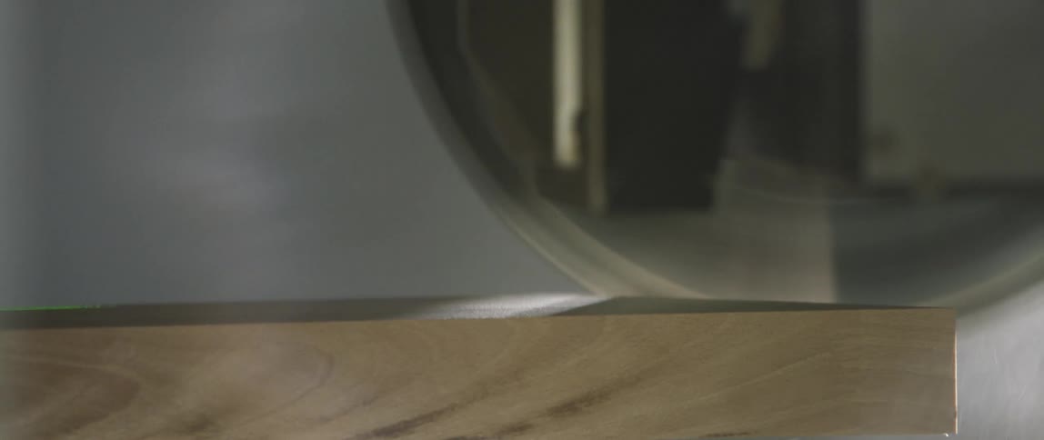Circular saw cuts a wood plant in the carpenters shop