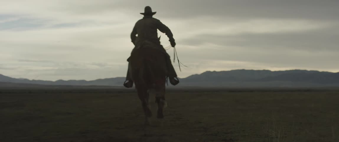 Man rides a horse in an open field at dusk
