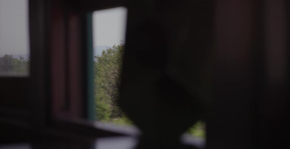 A piece of fabric flutters in the window of a train car as it moves down a track