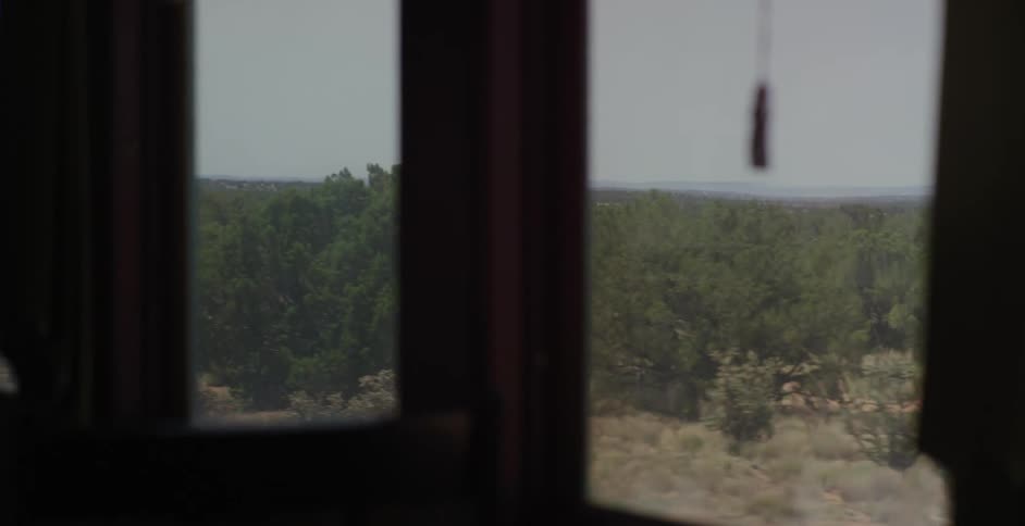A train window as the train is moving showing trees and the sky in the background