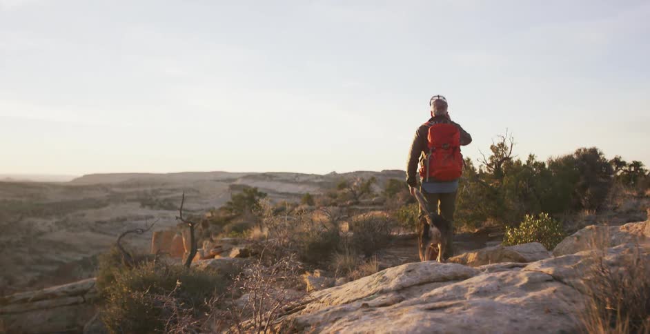 A hiker and a dog traverse a rocky terrain near a canyon
