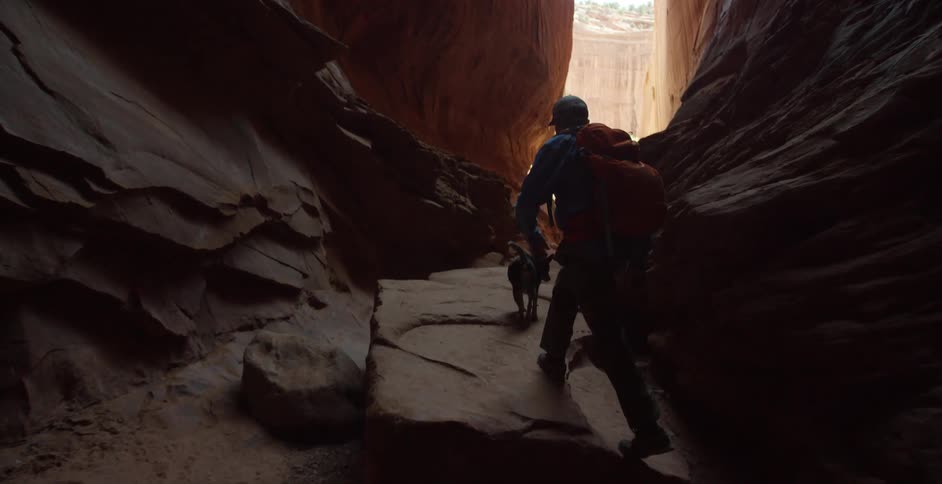 A man and a dog hike through a narrow desert canyon