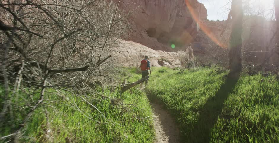 A hiker walks along a path through the woods and by a rocky cliff