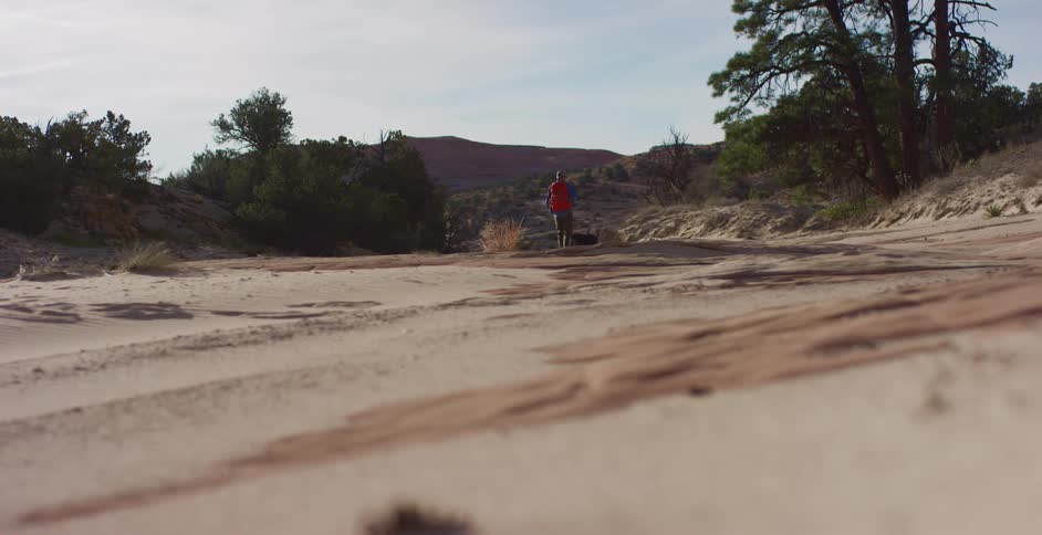 A hiker hiking through a sandy area with a dog
