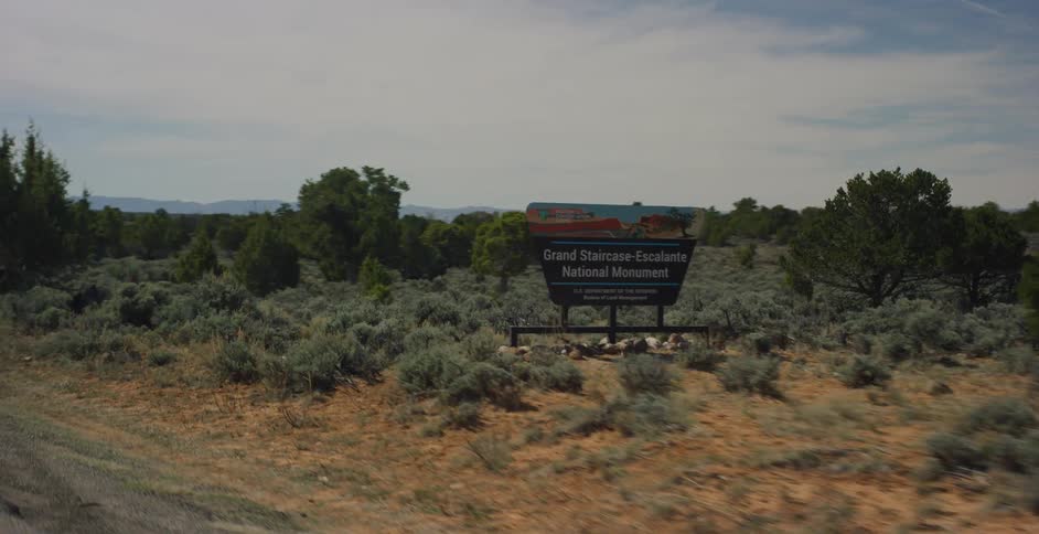 Vehicle drives on a countryside road and looking at the roadside advertising