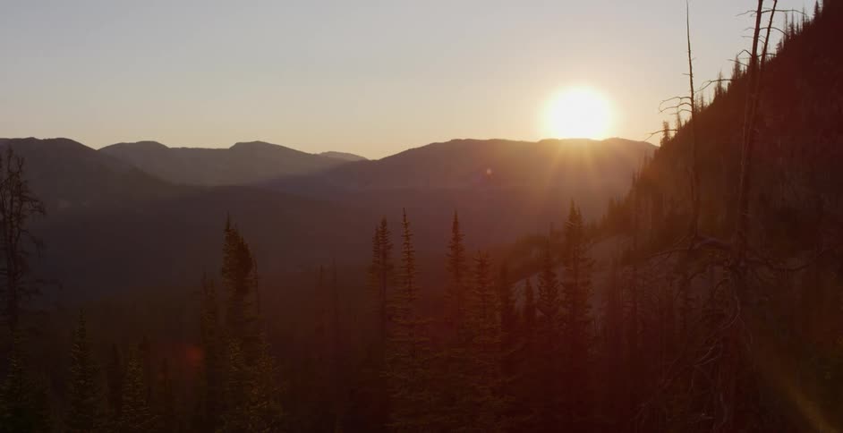 A forest with mountains and the sky in the background