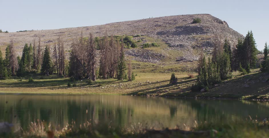 A calm lake is surrounded by trees near a hill