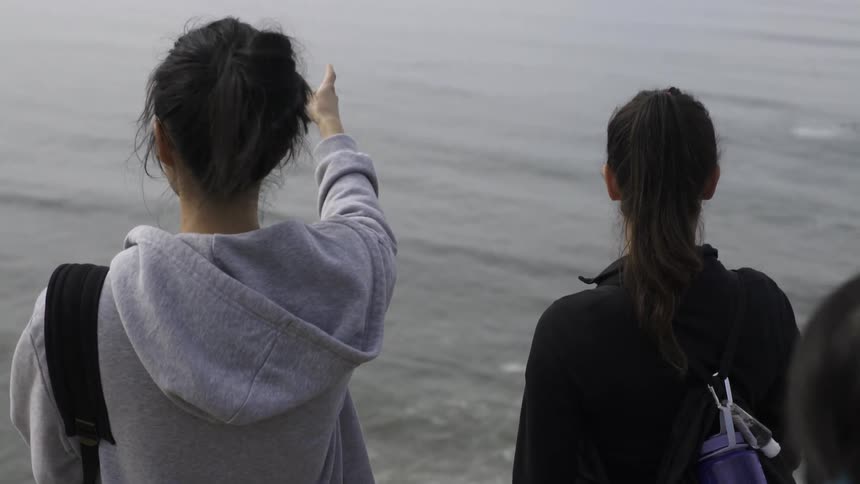 Women standing on hilltop overlooking water with peaceful reflective friendship moment.