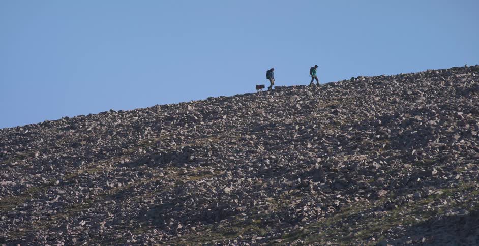 Two hikers and a dog traverse a steep hill