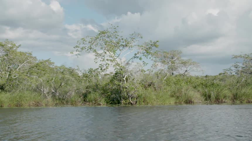 The shoreline along a lake