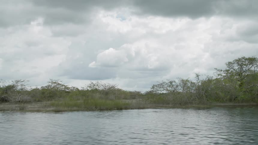 A river with trees and the sky in the background