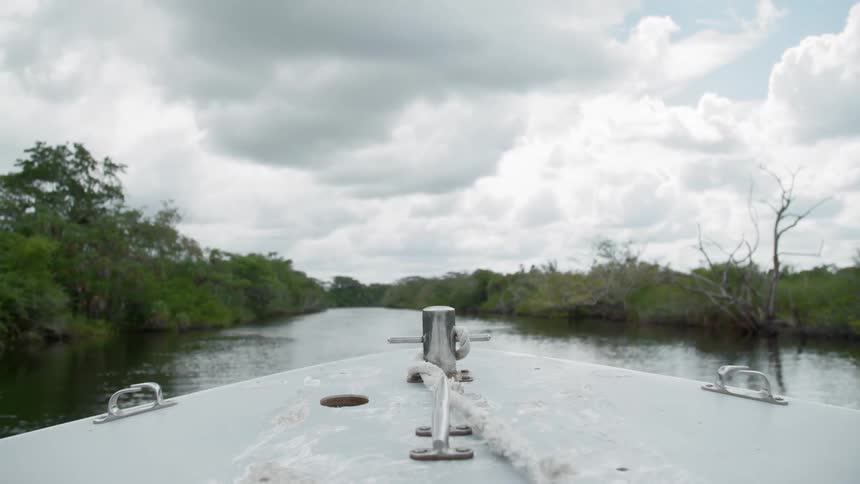A boat traveling down a river through a dense forest