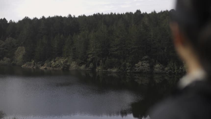 Elevated woman looking down at a lake surrounded by trees