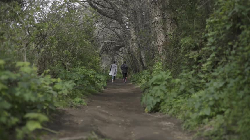 Two Friends walking together through forest path sharing quiet moment of connection.