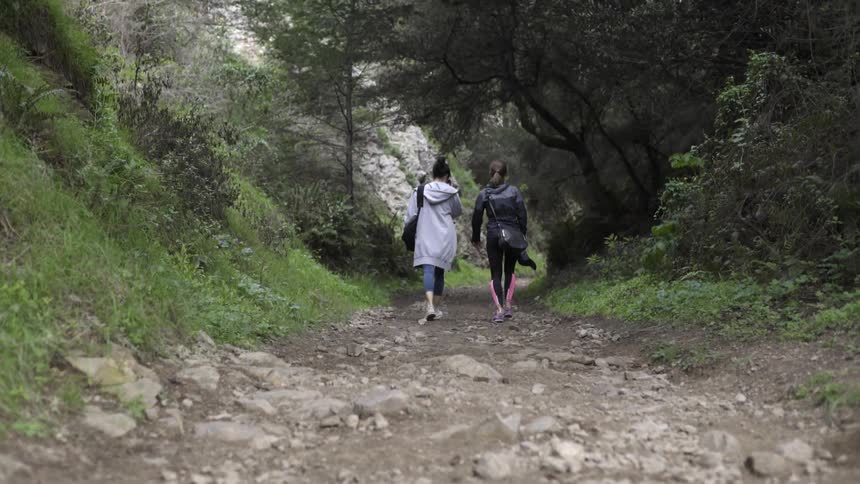 Women walking down rocky forest trail together with calm adventurous connection.
