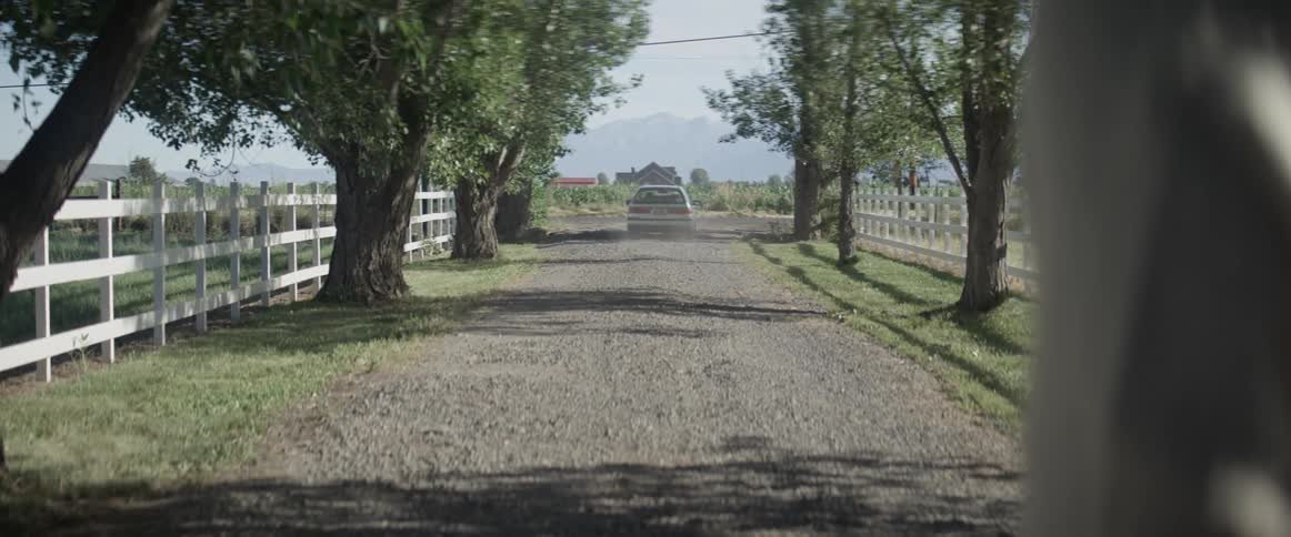 A person watches a car drive away
