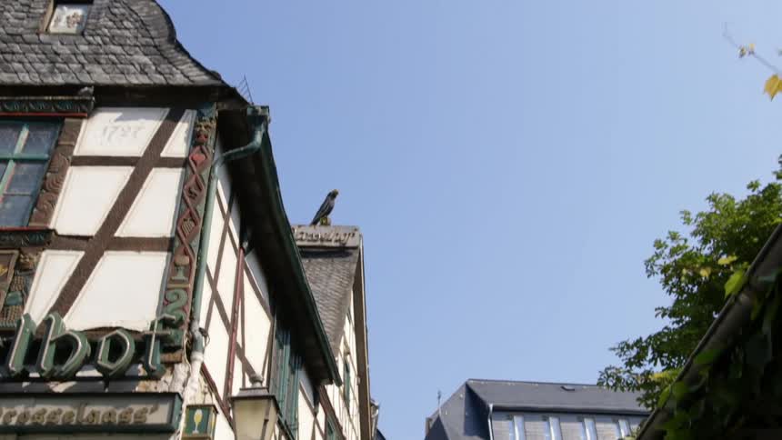 Couple holding hands walks down street in quaint german town