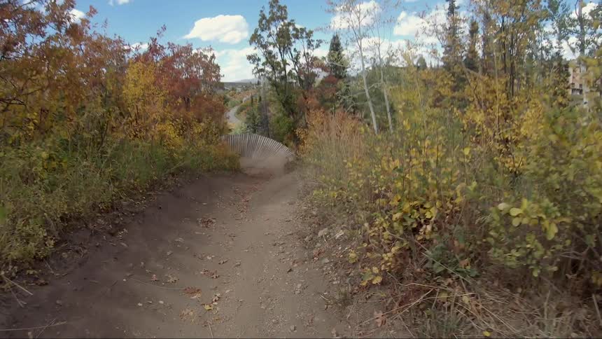 Dirt bike path cuts through fields and forest heading toward mountain under bright blue sky