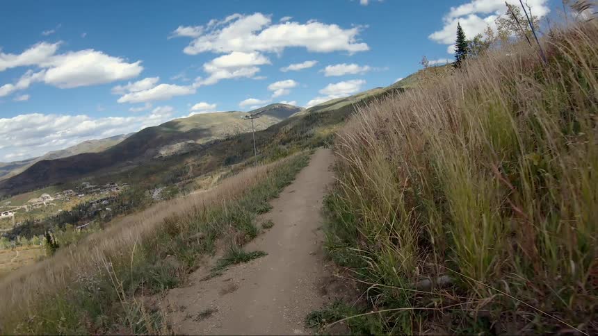The camera is moving in a point of view direction in a forest area