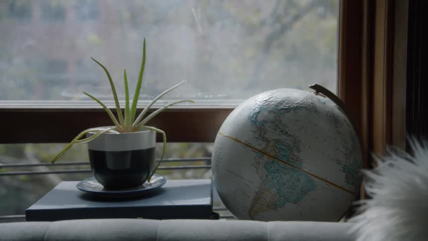A globe and a plant sit by a window in a home