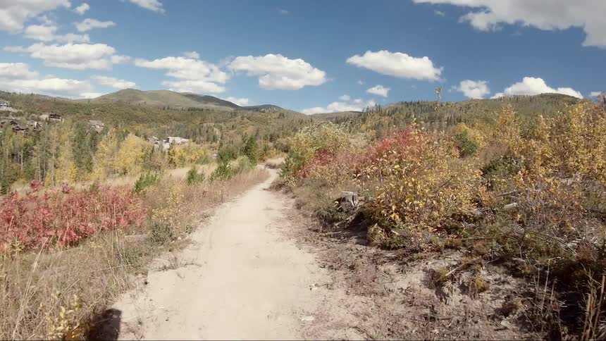 The shadow of a cyclist as they ride down a dirt path