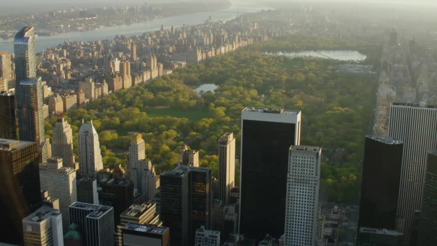 High rise buildings in a city