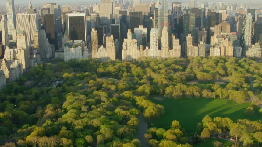 The park is before the large city ahead
