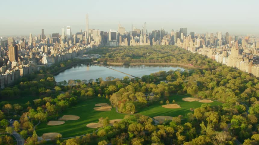 Aerial view of central park in new york city