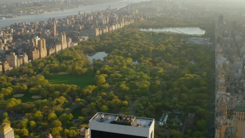 An aerial view of buildings is displayed by a forest area