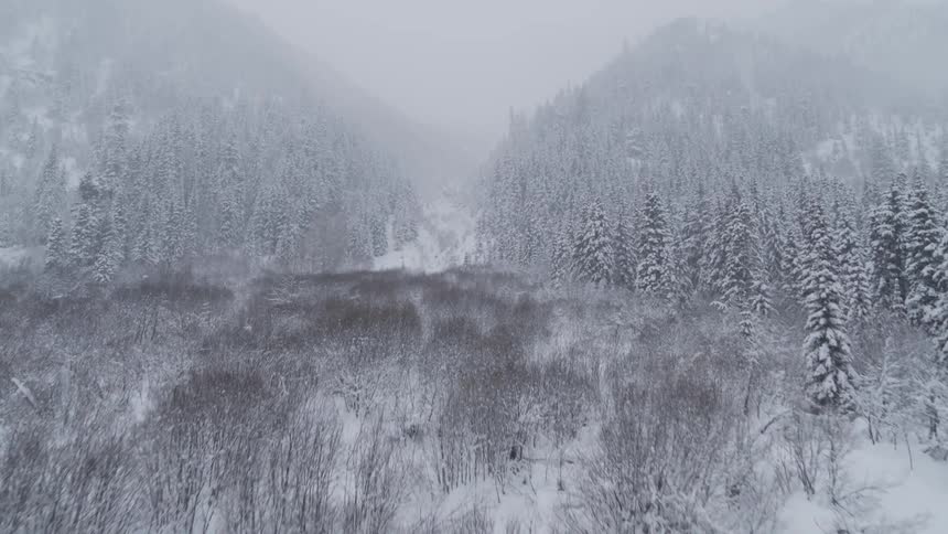 Snow covered winter meadow leading up to fog shrouded mountain foothills