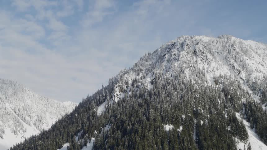 Flying parallel to the tree line of a snowy mountain