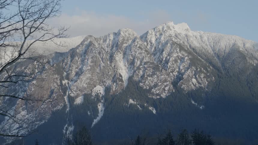 Flying past a dormant tree to reveal a snow covered mountain high above a forest