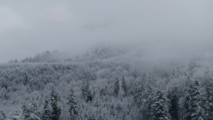 Descending a mist shrouded mountain slope to reveal a snow covered alpine forest
