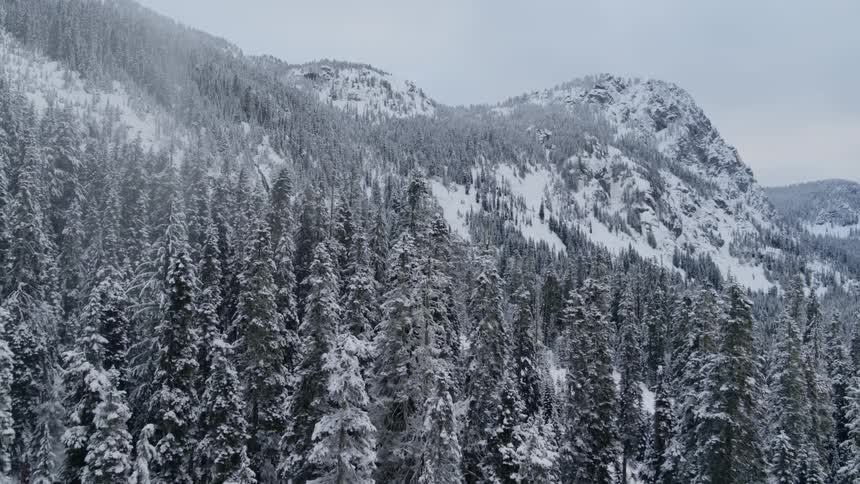 Flying above a snow dusted mountain valley forest