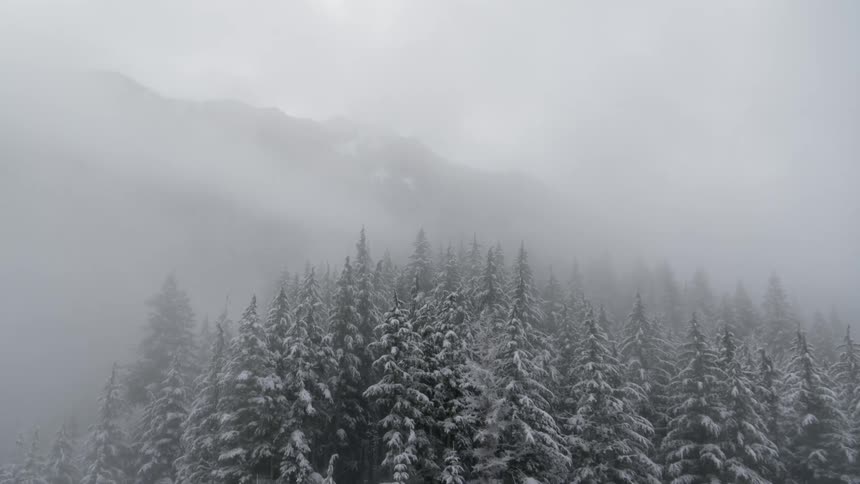 Flying through fog over snow covered trees and mountains