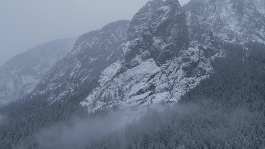Tilt up from a forest at the base of a snow covered mountain