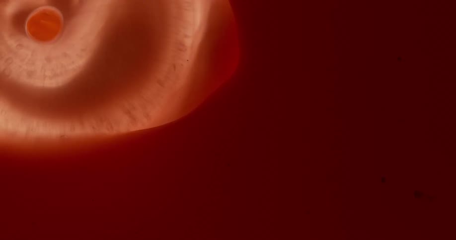 A light colored liquid is dropped in red liquid to create a swirled pattern