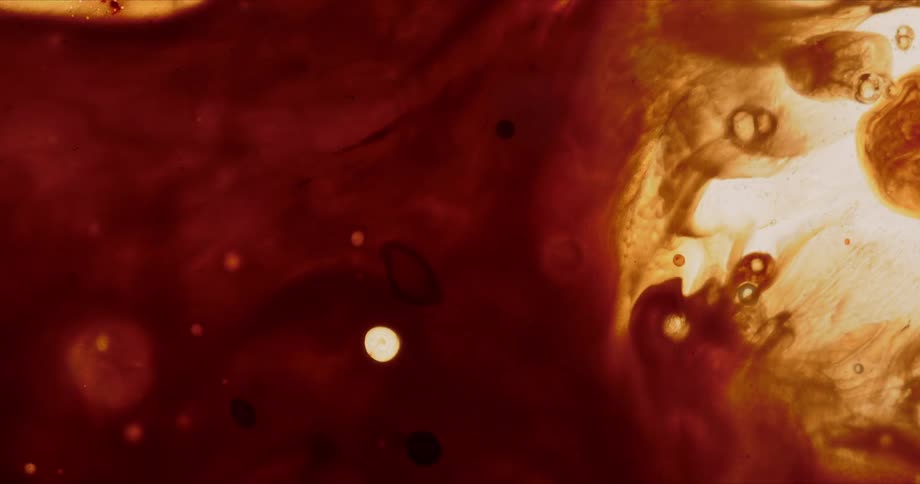 Dark orange and red liquid swirls in abstract shapes