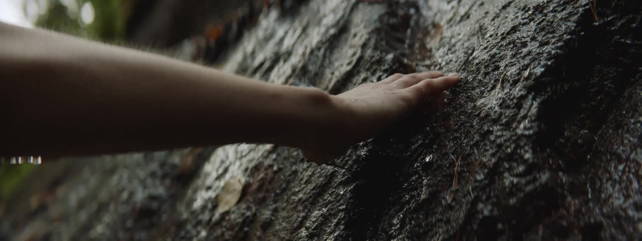 A person is touching nature while a stream of water is pouring down